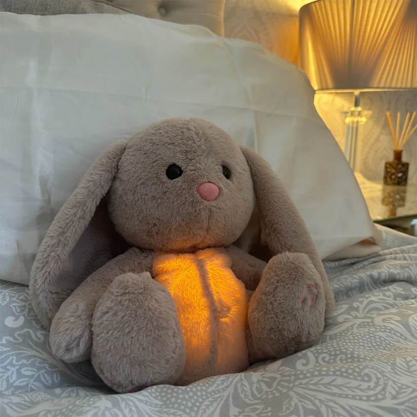 PawCalm - Kalmerende Knuffel